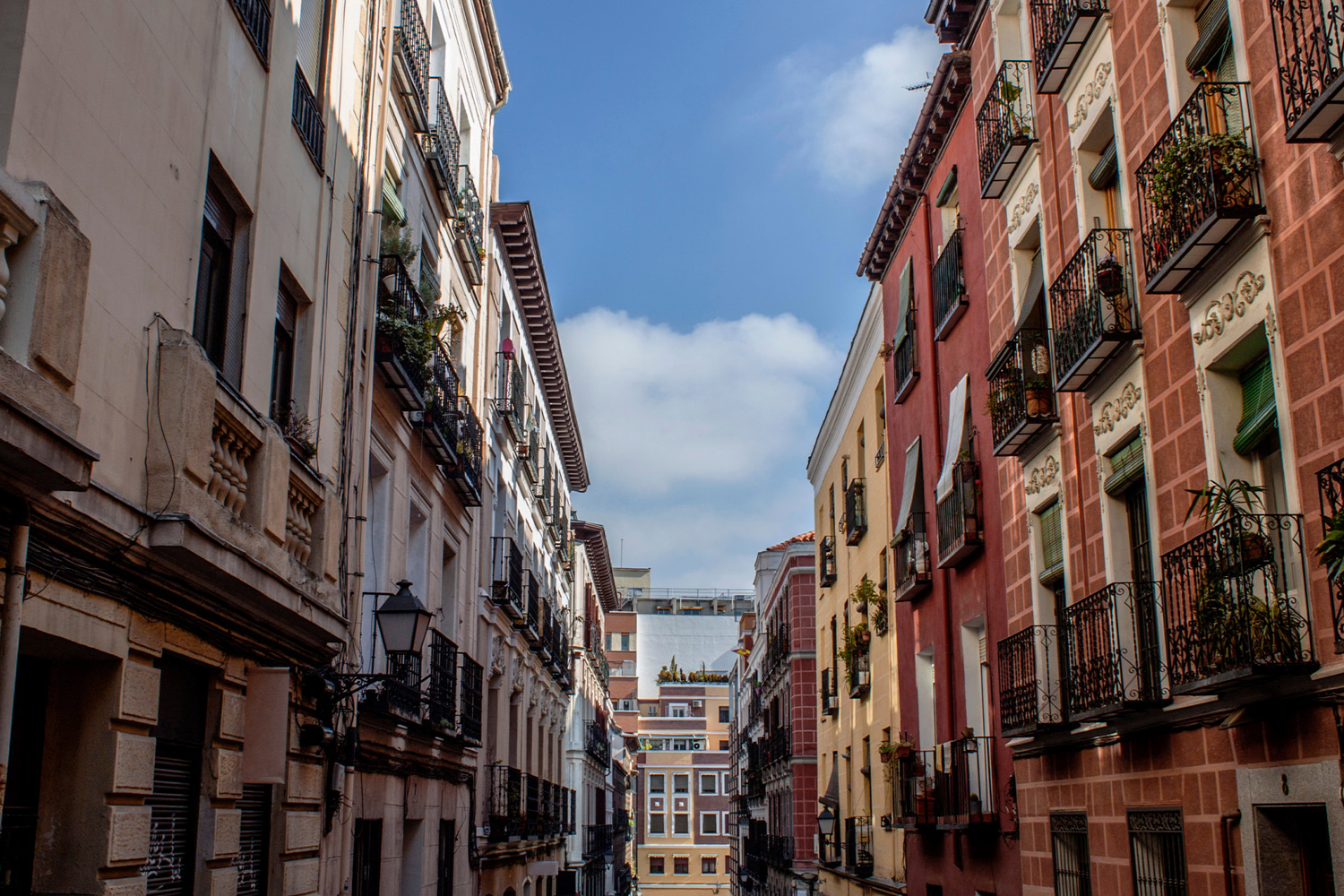 Rutas literarias por las calles más emblemáticas de Madrid