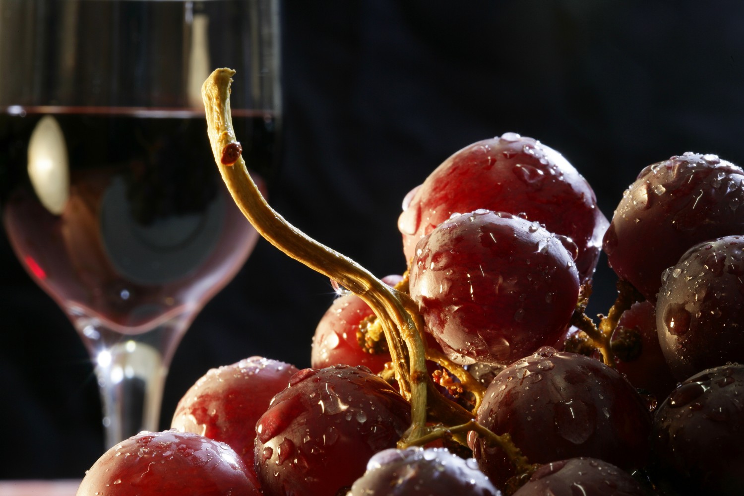 Wine tradition
